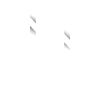 Netvine IT Solution